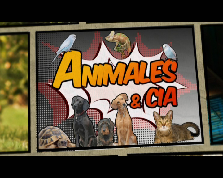 Animales y cía