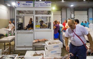 noticias cadiz autoridad el puerto.jpg