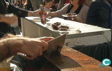 noticias cadiz erizada_6.jpg