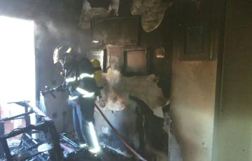 3.INC_. VIV. SAN FERNANDO. 02.02.18.jpg