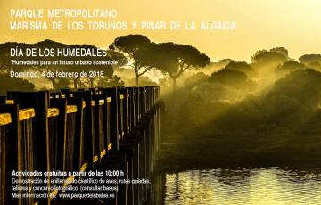 CARTEL DMH 2018 (1).jpg