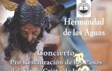 Concierto Las Aguas recortado.jpg