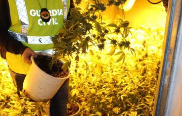 noticias cadiz cultivo marihuana.jpg