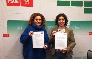 noticias cadiz parlamentarias socialistas.jpg