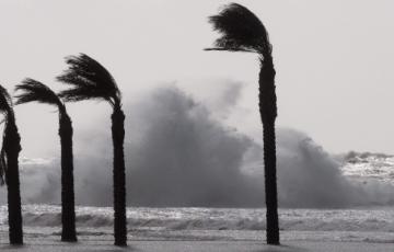 noticias cadiz viento_4_0.jpg