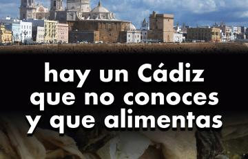noticias cadiz toallitas_0.jpg