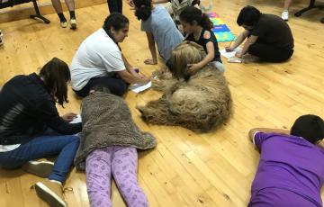 noticias cadiz plan lector.jpg