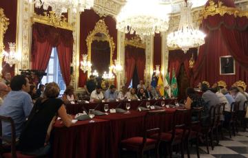 noticias cadiz pleno dipu1 ok.jpg