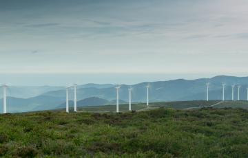 noticias cadiz_Parque_eólico_Viesgo.jpg