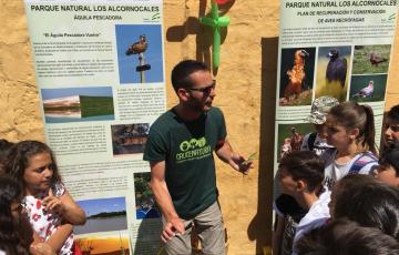 noticias cadiz alcornoquales.jpg