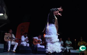 noticias cadiz flamenco1_6.jpg