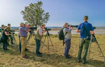 noticias cadiz ornitologia_cadiz__large.jpg