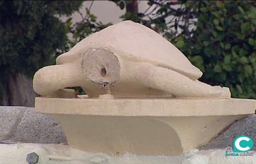 noticias cadiz tortuga.jpg