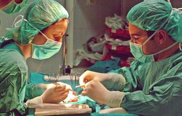 noticias cadiz trasplantes1.jpg