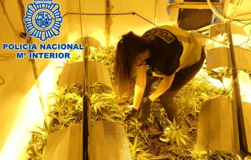 noticis cadiz droga sanlucarr.JPG