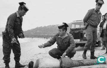 DOCUMENTAL PATERA.jpg