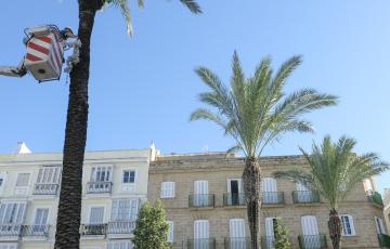 noticias cadiz iluminacion navidad.jpg