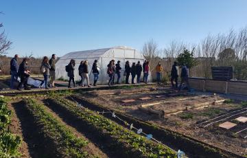 noticias cadiz casa de los colores.jpg