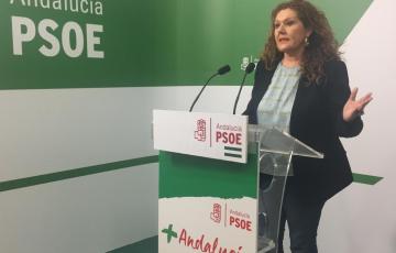 noticias cadiz psoe araceli maese.jpg
