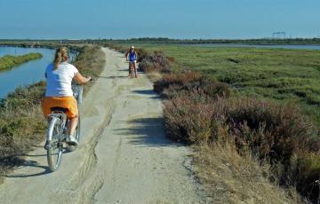 noticias cadiz via ciclistas.jpg