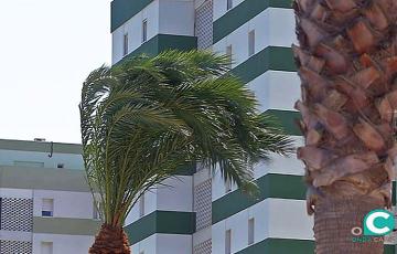 noticias cadiz levante1_0_0.jpg