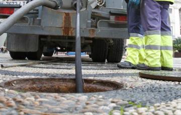 noticias cadiuz deasinsectacion .jpg