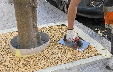 noticias cadiz alcorques.jpg