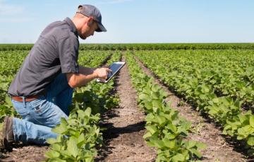 noticias cadiz autonomos_5.jpg