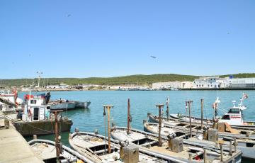 noticias cadiz puerto de barbate.jpg