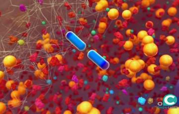 noticias cadiz  listeriosis que es.jpg