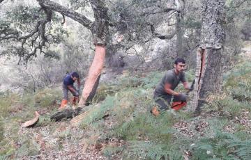 noticias cadiz corcheros.jpg