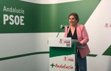 noticias cadiz Araceli Maese.jpeg