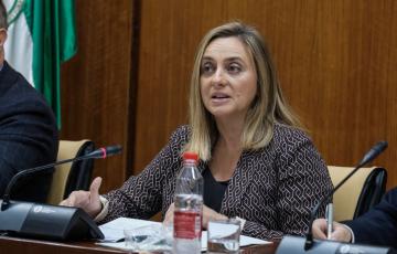 noticias cadiz Consejera Comisión Fomento.jpeg