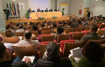 noticias cadiz jornadas violencia genero subdelegacion.jpg