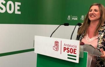 noticias cadiz Diou-paro.jpeg