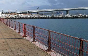 noticias cadiz piojito_5.jpg