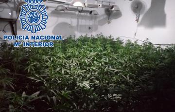 noticias cadiz sanlucar_11.jpg