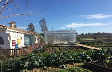 noticias cadiz casa colores.jpg