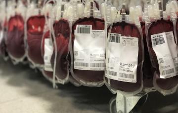 noticias cadiz Donación sangre.JPG