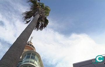 noticias cadiz viento en el piruli.jpg