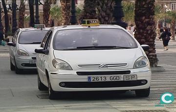 noticias cadiz taxis_1_0_0_0.jpg