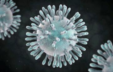 Coronavirus-161.jpg