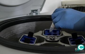 FOTO INIBICA_2.1.1.jpg