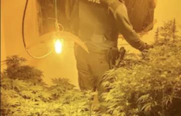 Captura de pantalla 2020-05-20 a las 21.27.37.jpg