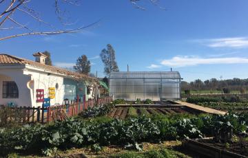 La Casa de los Colores.jpg