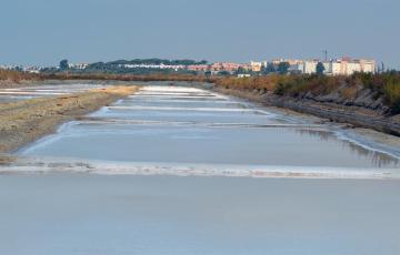 SALINA LA ESPERANZA.jpg
