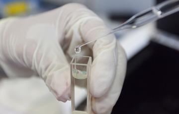 Universidad de Cádiz_0.jpg