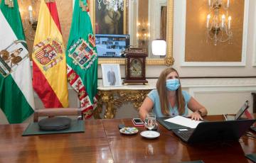 Pleno extraordinario .JPG