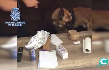 foto policia perro_2.1.1.jpg