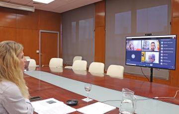 reunion telematica fiebre del nilo.jpg